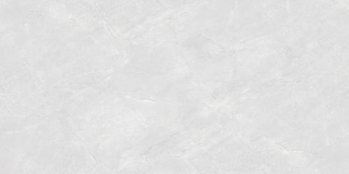 TM12173 萨尔斯灰