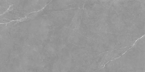 TM12176 瓦格特纳灰