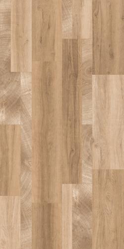 AK-127119香檀森林