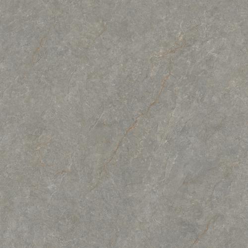 T8CM169M 柏拉图灰