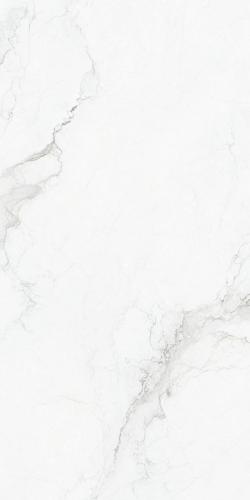 T75B/-1FY036 寒江雪