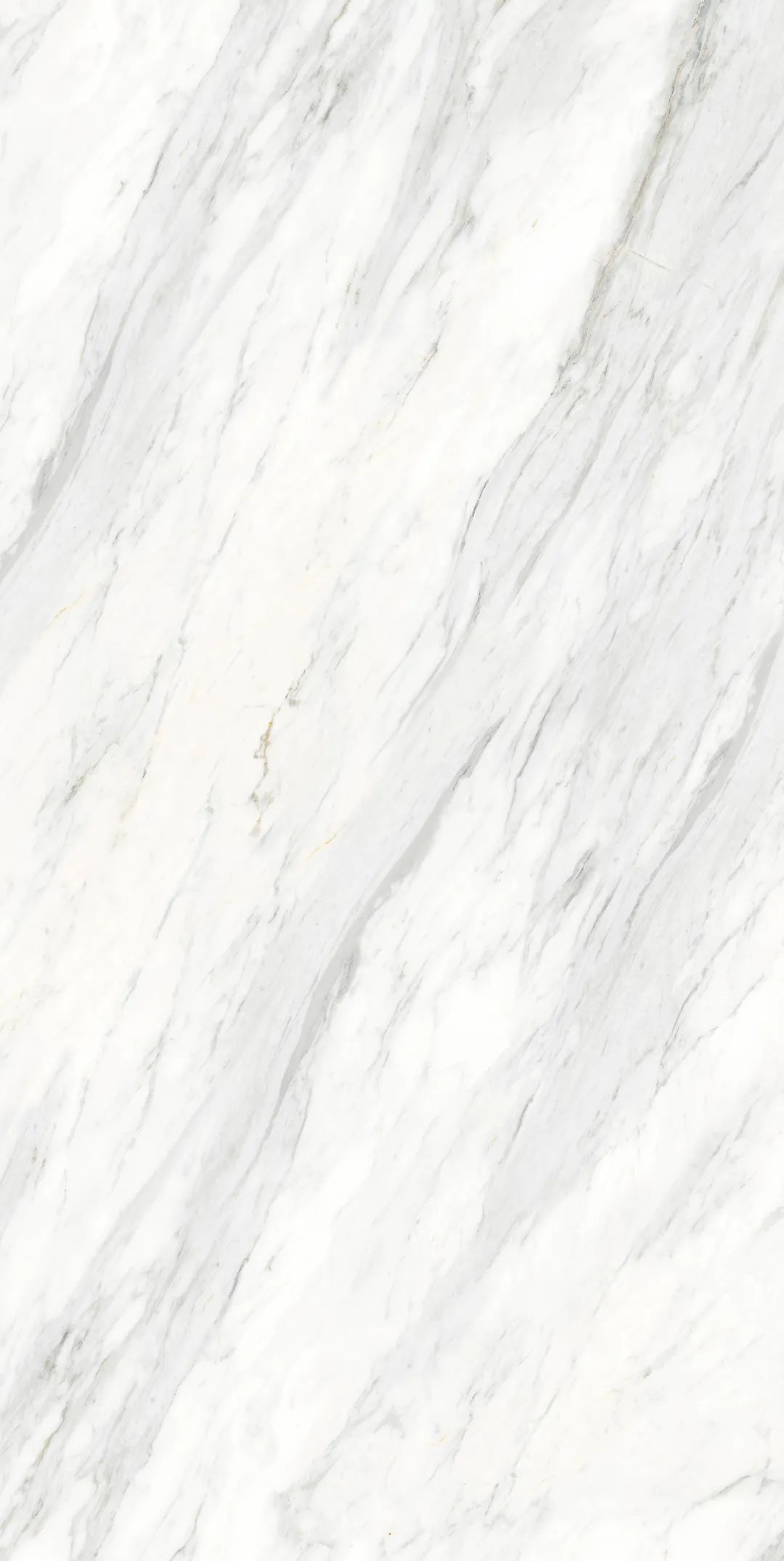 微信图片_20210602172330.jpg 微信图片_20210602172330.jpg