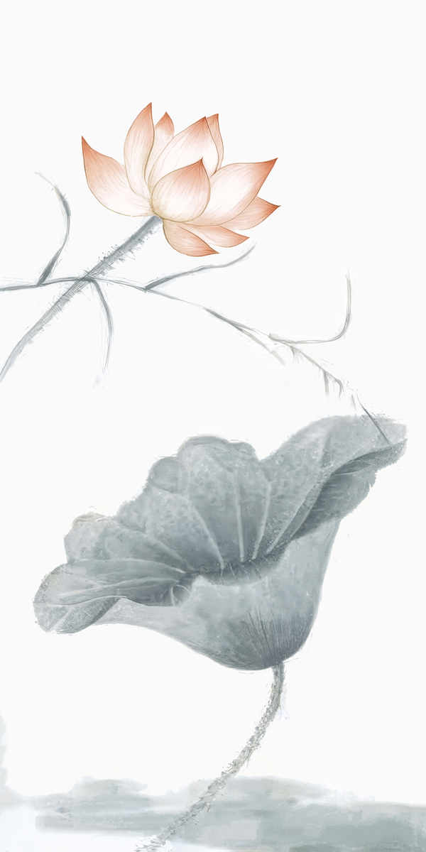 T8-1JP181 繁花系列·荷3.jpg